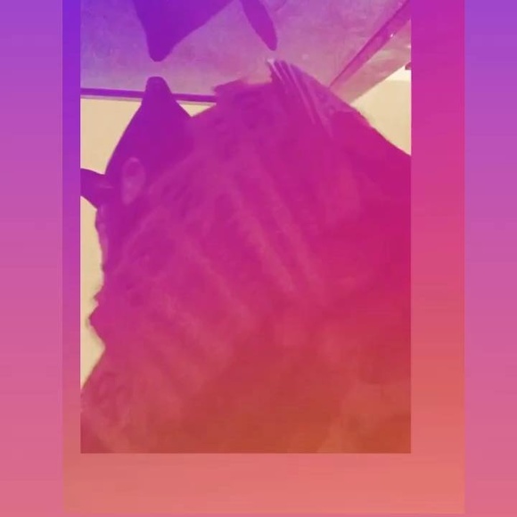 tanganesha2